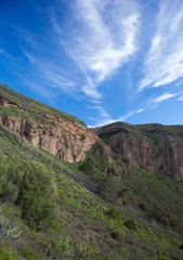 Fototapeta na wymiar Gran Canaria, Caldera de Bandama after winter rains