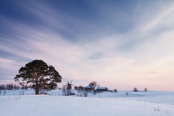 Winter rural landscape with pine and mill