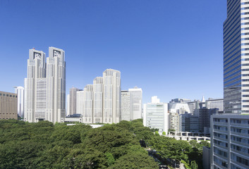 Obraz premium 快晴青空と緑の東京都庁と新宿高層ビル街