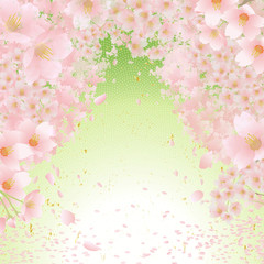 Obraz na płótnie Canvas 桜　和柄