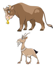 Cow and  goat