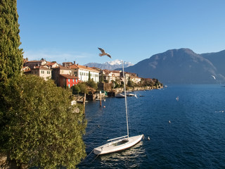 Fototapeta premium Sala Comacina, lake of Como. The small gulf with the harbor and