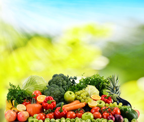 Assorted raw organic vegetables