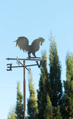 Girouette coq