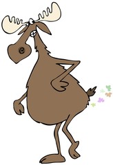 Bull moose farts