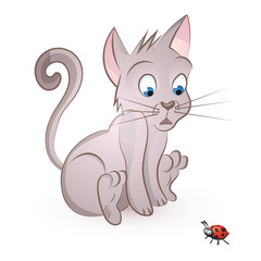 cat storit to a bug