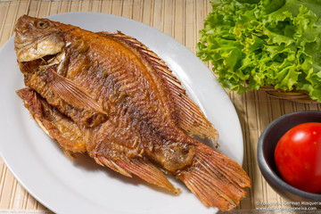 Tilapia frita