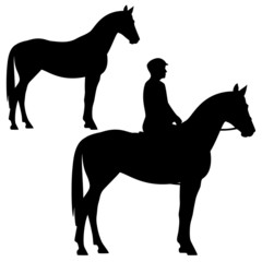 horse and horseman