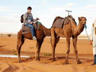Camel trek through the desert of Morocco