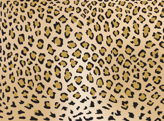Leopard skin vector