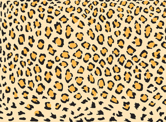 Leopard skin vector