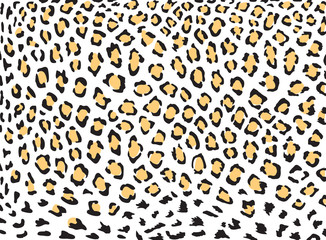 Leopard skin vector