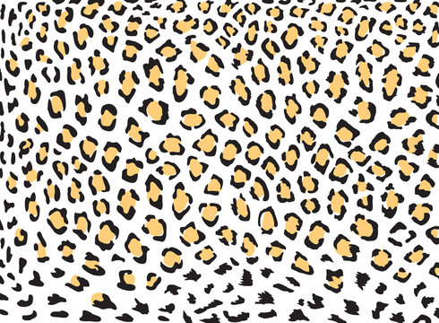 Leopard skin vector