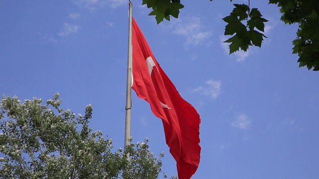  Flag of Turkey.