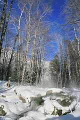 Fototapeta na wymiar Winter mountain stream.