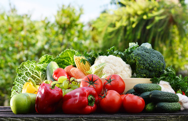 Assorted raw organic vegetables in the garden