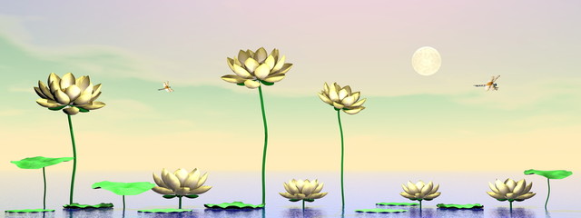 Fototapeta na wymiar Zen lily flowers - 3D render