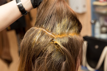 Naklejka premium Coloring hair