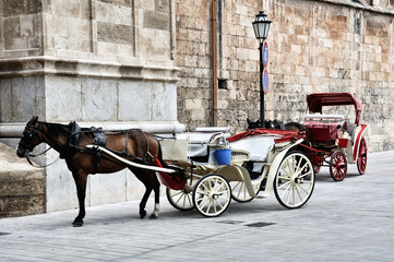 Touristic Horse Carriage in Palma de Majorca