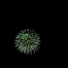 Fireworks light up the sky 