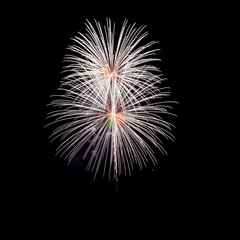 Fireworks light up the sky 