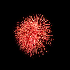 Fireworks light up the sky 