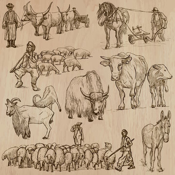 Farm animals. Hand drawn vector pack.