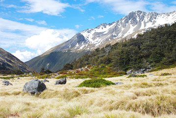 Scenic view from Travers-Sabine Circuit, Nelson Lakes NP