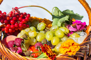 Fruits in basket