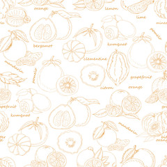 Seamless pattern with citrus fruit on white background