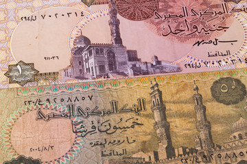 Different Egyptian  banknotes on the table