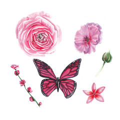 watercolor pink flowers set