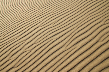 Beach sand. Arena de playa