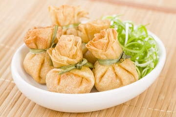Wonton - Oriental deep fried wontons filled with vegetables.