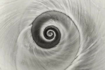 Velours gordijnen spiral Platinum © J.C.Salvadores
