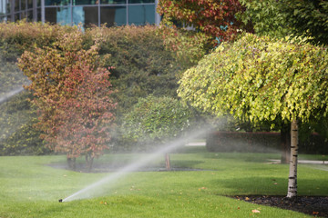 Lawn Sprinkler Spraying Water Over Green Grass