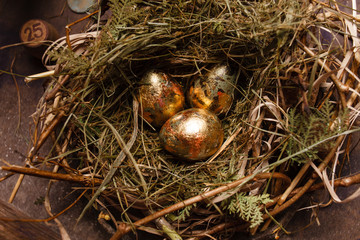 eggs in the nest