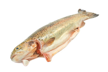 Fish trout shelled on white background.
