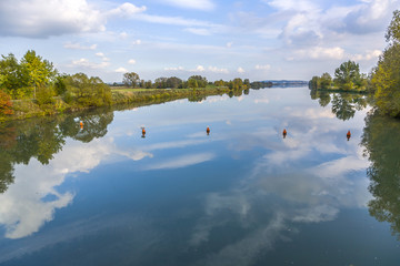 reflection of trees in river tauber