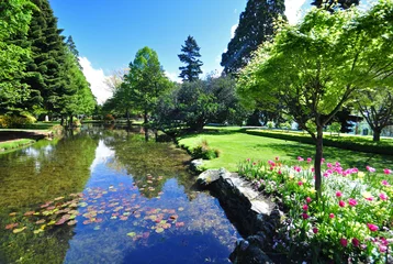 Fotobehang Queenstown Gardens Nieuw-Zeeland © dpe123
