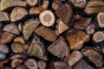 texture of wood