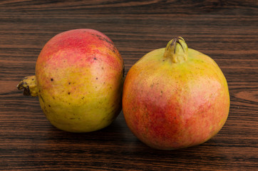 Yellow Pomegranet
