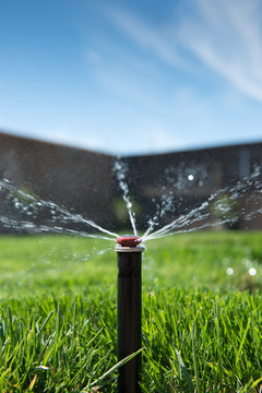 Lawn Sprinkler Head Shallow Depth Of Field