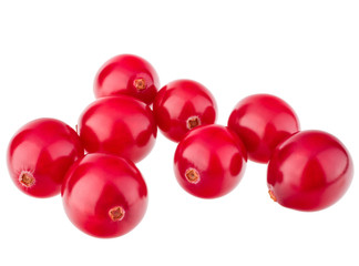 cranberry  isolated on white background cutout