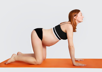 Fototapeta premium Pregnant woman doing yoga and relaxing