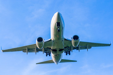 Naklejka premium Landing Plane