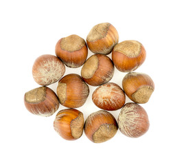 Pile of hazelnuts