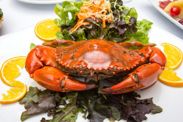 Singapore chili mud crab