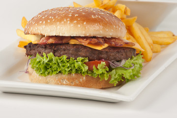 Fresh Hamburger with french fries and salad