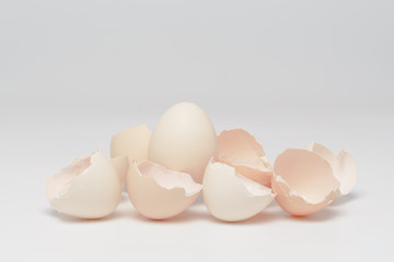 Egg with eggshells